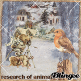 Research of animals