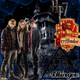 Harry potter & The Deathly Hallows