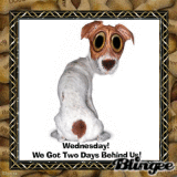 WEDNESDAY! TOP 55