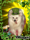 Feliz día de san Patricio Chuki