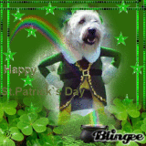 patrick`s day