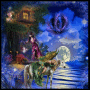 Night fantasy