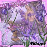 Lavender Paradise