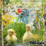 *** Spring Time ***