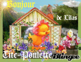 Bonjour sur jardin