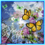 ✿SPRING FLOWERS & BUTTERFLIESεїз ✿SPRING FLOWERS & BUTTERFLIESεїз