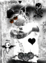 Carloco5M