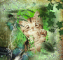 Petit Chat Coquin..