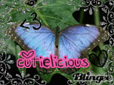 Blauer Morpho