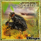 Funny Spring:-)