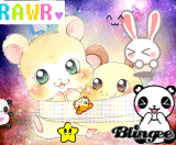 Cute Hamsters