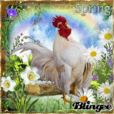 Spring