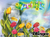 Spring Spring