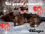 la nuit de Ella