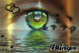 meeres auge