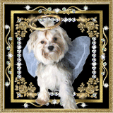 MY ANGEL TINK TOP 2 & TOP 76 MY ANGEL TINK TOP 2 & TOP 76