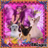 My Cats