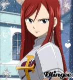 armour Erza