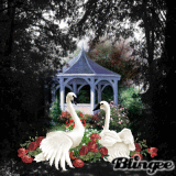 Secret Garden