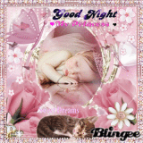 Good night and sweet night my dear and sweet friends♥  p