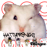 Hattypring2