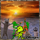 funny band