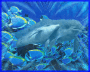 sealife - under water world 1