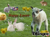 Happy Easter!