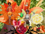 What's in your garden