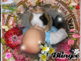 I EAT YOUR FACE ( in a beautiful field of flowers!)
