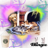 Cats An Puppies.........Forever Friends