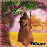 Spring Swing