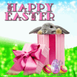 Bunny in a box Made by KarenR
