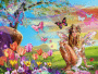 spring spring