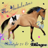 ZG The Andalusiens