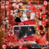 Paul Walker & Vin Diesel @svara