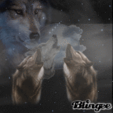 Wolfs Moon