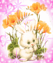Hasi