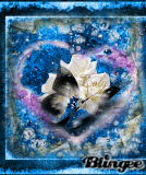 les roses de l 'amour !!!