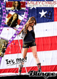 Party in the usa