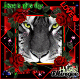 HAVE A NICE DAY