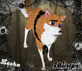 Lesha