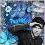 Taylor @svara