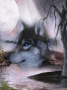 Vollmond Wolf