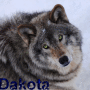 Dakota