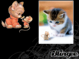 Cat and mouse