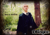 draco malfoy ....