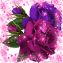 rose and butterfly