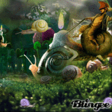 Snails it ranked 22