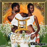 Gemini Twins